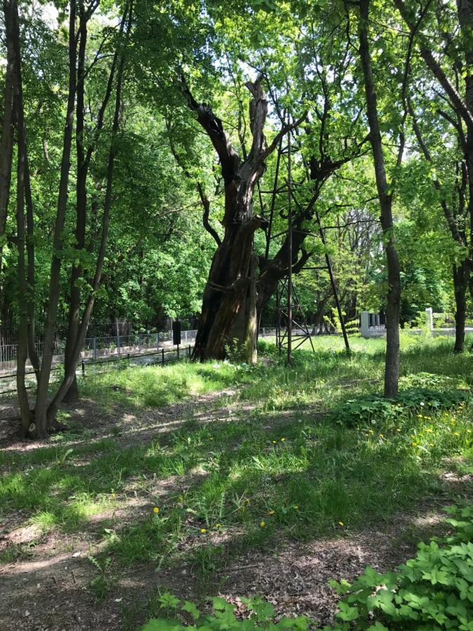 Warsaw-Aparts Ursynow Natolin 외부 사진
